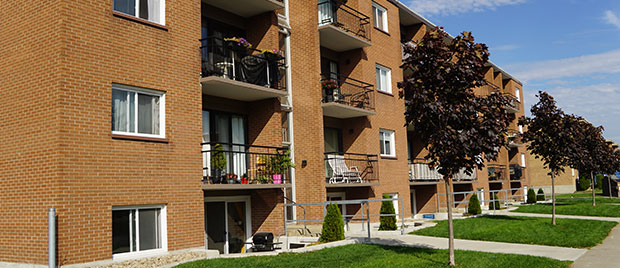 487, 49e Rue Ouest #7 — photo 3